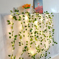 Nocra Enchanted Fairy Light Garland